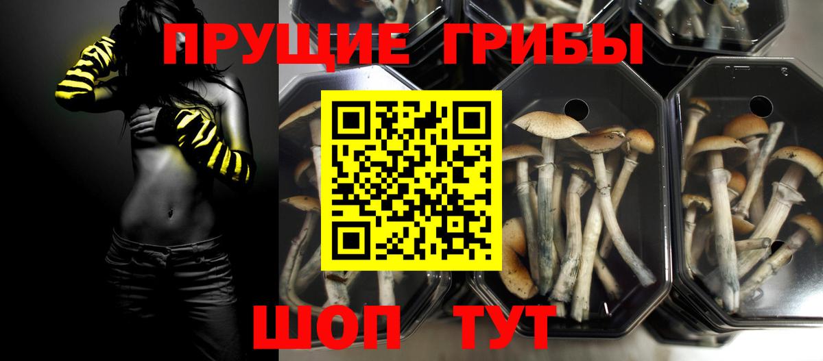 Псилоцибиновые грибы MAGIC MUSHROOMS Бор